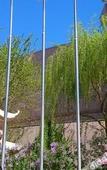 Туры в отель Dunhuang International Hotel
