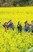 Туры в отель Xihai Hot Spring Holiday Hotel
