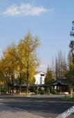 Туры в отель Loudong Hotel