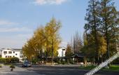 Туры в отель Loudong Hotel