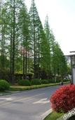 Туры в отель Loudong Hotel