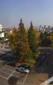 Туры в отель Loudong Hotel