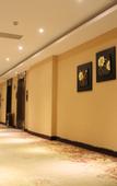 Туры в отель M International Hotel (Shazhou Night Market)