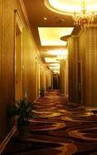 Туры в отель Ruijia LiLan Ruibai-Yun Hotel (Deqing West Railway Station)