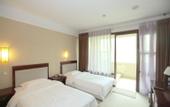 Туры в отель Purpureus Hot Spring Villa