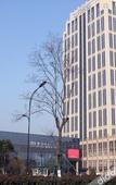 Туры в отель Jiaxing Haining Weijing Wyndham Hotel