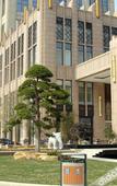 Туры в отель Jiaxing Haining Weijing Wyndham Hotel