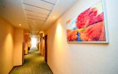 Туры в отель Shankee Hotel (Feng County Fengming Golden Street)