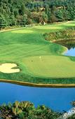 Туры в отель Spring City Golf & Lake Resort