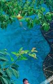 Туры в отель Emeishan Yue Garden Hotel