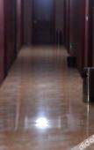 Туры в отель Shihua Express Hotel