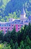 Туры в отель Swanburg Resort Hotel