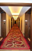 Туры в отель Swanburg Resort Hotel