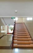 Туры в отель Home Inn·neo (Zoucheng Mankeng East Road Yanmei Headquarters Store)