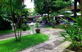 Туры в отель Legian Paradiso