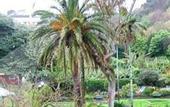 Туры в отель Angra Garden