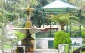 Туры в отель Angra Garden