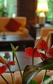 Туры в отель Wuzhen Club House