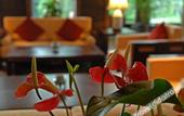 Туры в отель Wuzhen Club House
