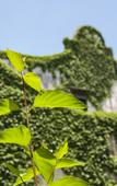 Туры в отель Wuzhen Club House