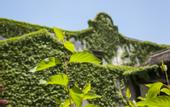 Туры в отель Wuzhen Club House