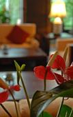 Туры в отель Wuzhen Club House