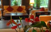 Туры в отель Wuzhen Club House