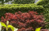 Туры в отель Wuzhen Club House