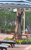 Туры в отель Hongshanhu Hot Spring Hotel