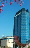 Туры в отель Hongshanhu Hot Spring Hotel