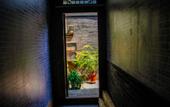 Туры в отель Floral Hotel·Baichanghong Hotel