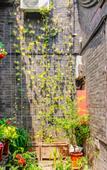 Туры в отель Floral Hotel·Baichanghong Hotel
