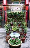 Туры в отель Floral Hotel·Baichanghong Hotel