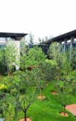 Туры в отель Swan Lakeview Hotel