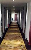 Туры в отель wonder travel hotel(kaiping dongxing)