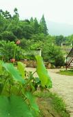 Туры в отель Floral Hotel·Moganshan Shuimo Shanju hotel