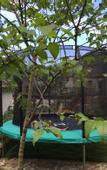 Туры в отель Floral Hotel·Moganshan Shuimo Shanju hotel