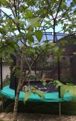 Туры в отель Floral Hotel·Moganshan Shuimo Shanju hotel
