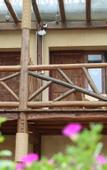 Туры в отель Floral Hotel·Moganshan Shuimo Shanju hotel