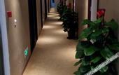 Туры в отель Yuexiang Hotel (Beijing Daxing Jiugong Subway Station)