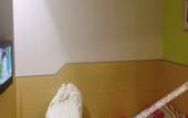 Туры в отель 99inn Selected (Beijing Yuegezhuangqiao 302 Hospital)
