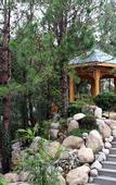 Туры в отель Grand Canyon Hot Spring Resort