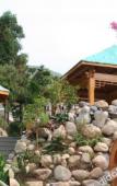 Туры в отель Grand Canyon Hot Spring Resort