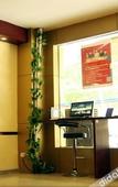 Туры в отель Shell Hotel (Xuzhou Xinyi Nanjing Road Railway Station)