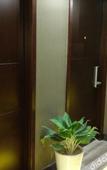 Туры в отель Chaoman Hotel (Yuyao Jinlin Tiyang Ming West Road Branch)