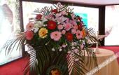 Туры в отель Ao Cheng International Hotel