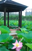 Туры в отель NORINCO SKYLIGHT RESORT