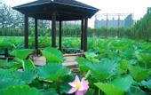 Туры в отель NORINCO SKYLIGHT RESORT