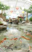 Туры в отель NORINCO SKYLIGHT RESORT