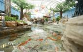 Туры в отель NORINCO SKYLIGHT RESORT